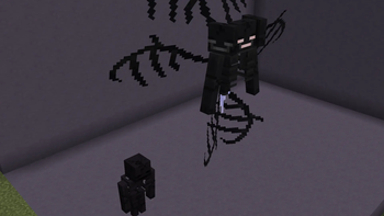 Wither and Wither Skeleton