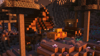 New Villager Home