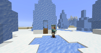 Ice House