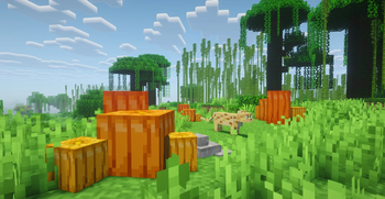 Minex's Props