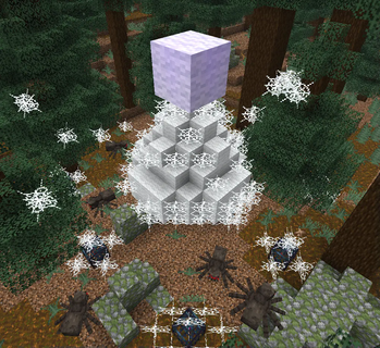 Spider Den in an Old Growth Taiga