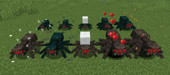 New Spider Types