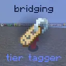 Bridge Tiertagger