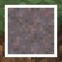 Mycelium Sides