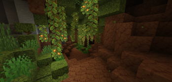 Jungle Cave