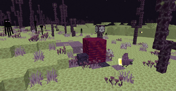 Ender Firefly Nests