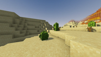 Desert