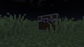 Wooden Chest