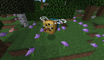 Beebav Boss