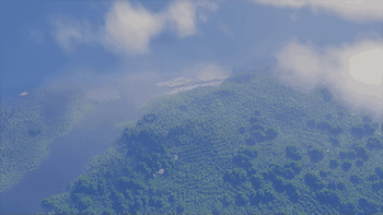 from the sky