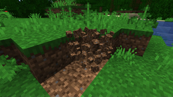 3D Block Particles