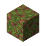 Rusty Moss