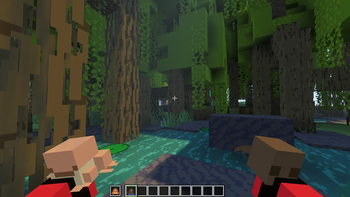 Mangrove Swamp