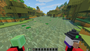 Swamp