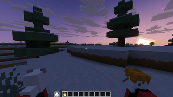 Snowy Plains