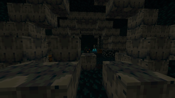 Sculk Parasite spawner
