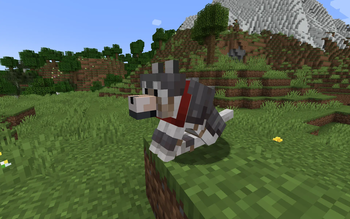 NEW: Netherite Wolf Armor