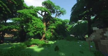 Normal Forest