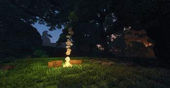 Camping Under Big Trees