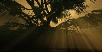 New Dark Forest