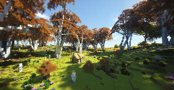 Birch Forest