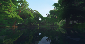 Lake In The Forest