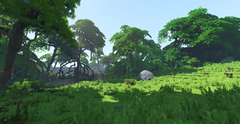 Between Swamp and Forest