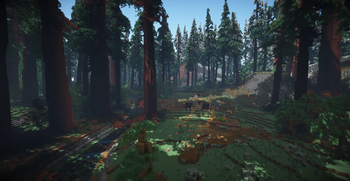 A Villager in the Pine Forest