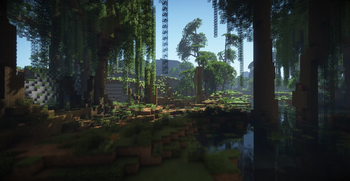 Peaceful Swamp