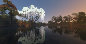 Mother Of The Forest