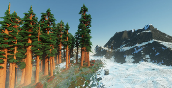 New Redwood