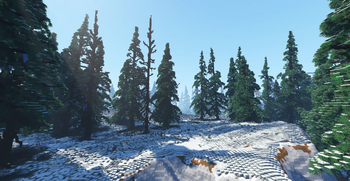 Snowy Taiga