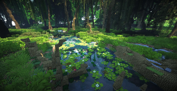 A Lively Swamp
