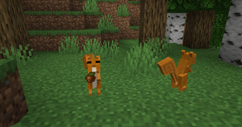 #0.1.7 Update: Squirrels