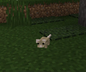 #0.1.9 Update: Wood Mouse