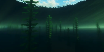 Shader Image 14