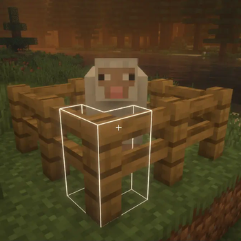 Custom block outline 1