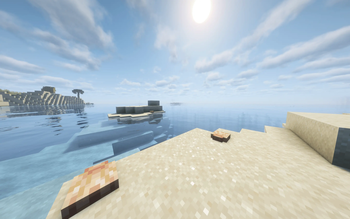 A beach