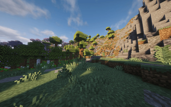 A forest and a hill