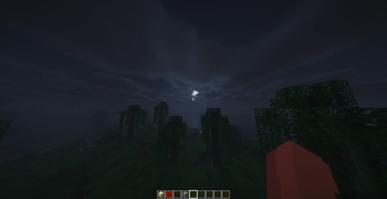 Moonlit forest