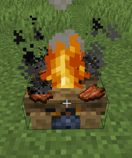 Rotten flesh on campfire