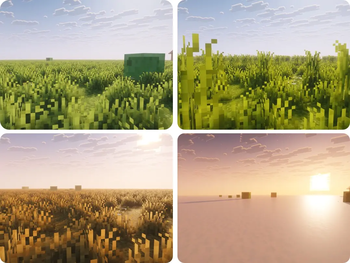 Spring Grass