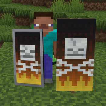 Custom banner combo