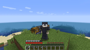 In game view