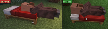 Comparison