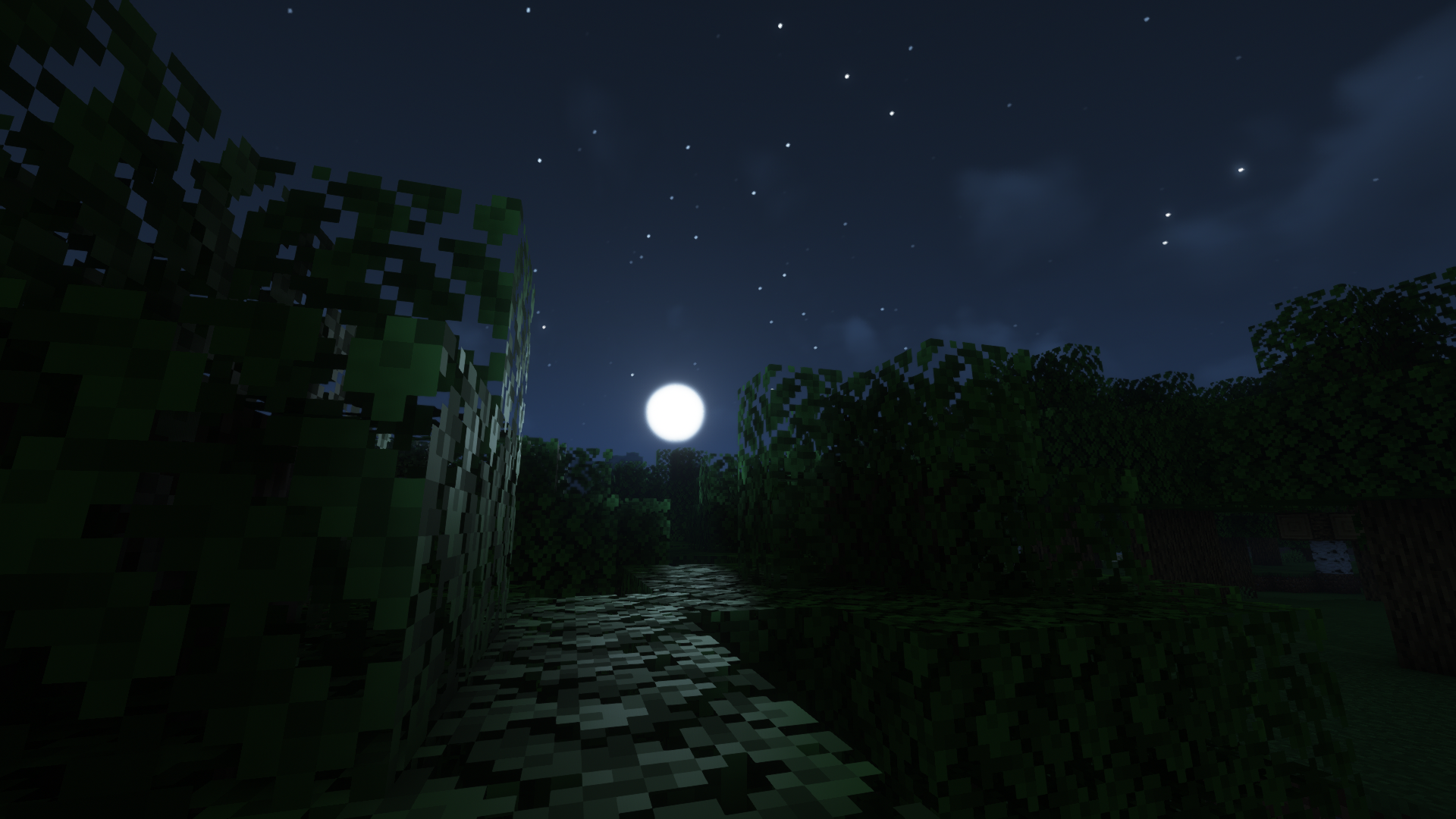 Complementary Shaders v4
