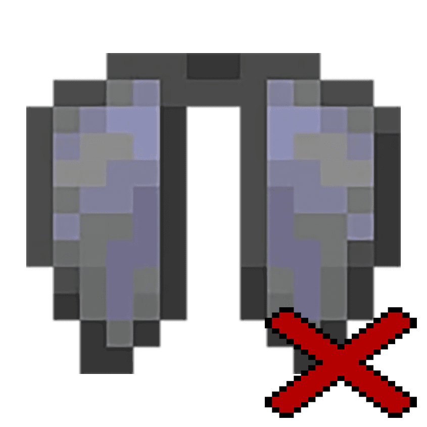 No elytra flight