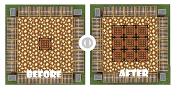 Before & After Comparison