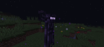 Enderman 