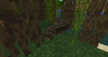 Anaconda